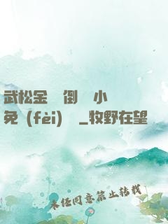武松金蓮顛倒鸞鳳小說免費(fèi)閱讀