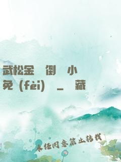 武松金蓮顛倒鸞鳳小說免費(fèi)閱讀