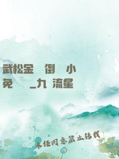 武松金蓮顛倒鸞鳳小說免費閱讀