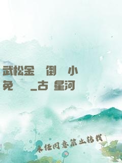 武松金蓮顛倒鸞鳳小說免費閱讀