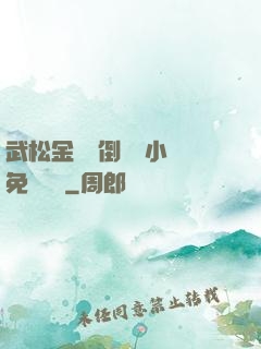 武松金蓮顛倒鸞鳳小說免費閱讀