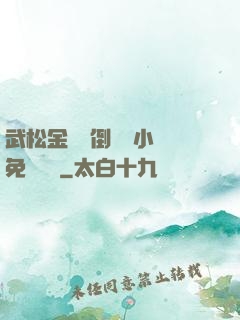 武松金蓮顛倒鸞鳳小說免費閱讀