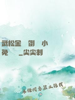 武松金蓮顛倒鸞鳳小說免費閱讀