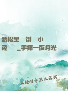 武松金蓮顛倒鸞鳳小說免費閱讀