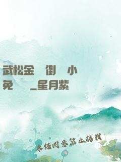 武松金蓮顛倒鸞鳳小說免費閱讀