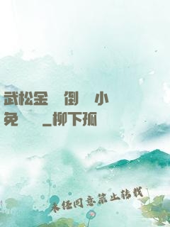 武松金蓮顛倒鸞鳳小說免費閱讀