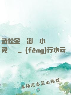 武松金蓮顛倒鸞鳳小說免費閱讀
