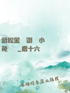 武松金蓮顛倒鸞鳳小說免費閱讀