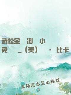 武松金蓮顛倒鸞鳳小說免費閱讀