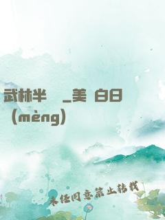 武林半俠傳