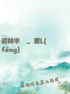 武林半俠傳
