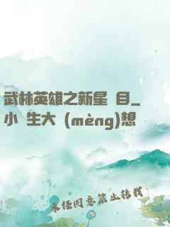 武林英雄之新星奪目