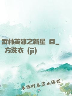 武林英雄之新星奪目