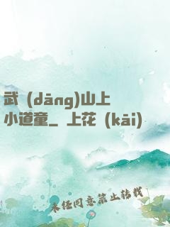 武當(dāng)山上小道童