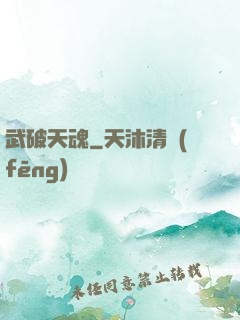 武破天魂