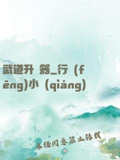 武道升級器