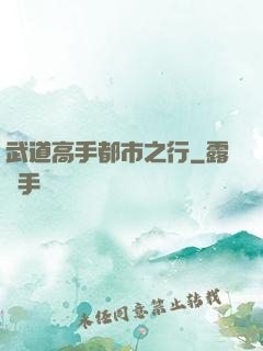 武道高手都市之行