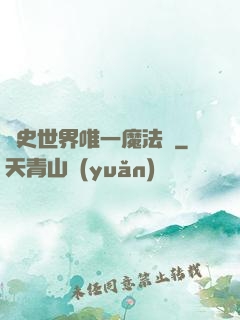 歷史世界唯一魔法師
