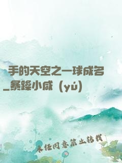 殺手的天空之一球成名