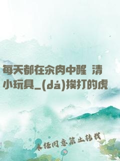 每天都在汆肉中醒來清小玩具