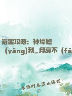 氪金攻略：神壕媳婦請養(yǎng)我