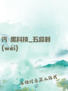 汽車黑科技