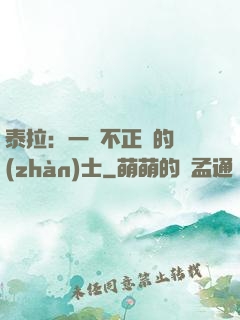 泰拉：一個不正經的戰(zhàn)士
