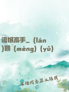 流氓高手