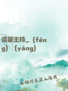 流量主持