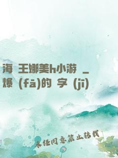 海賊王娜美h小游戲