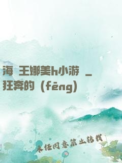 海賊王娜美h小游戲