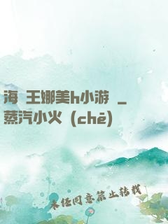 海賊王娜美h小游戲