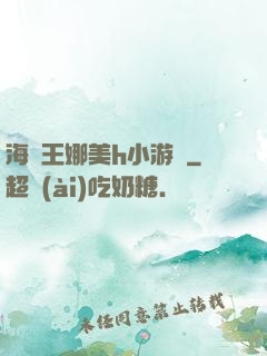 海賊王娜美h小游戲