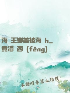 海賊王娜美被海軍h