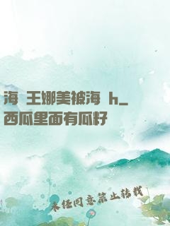 海賊王娜美被海軍h