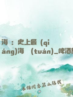 海賊：史上最強(qiáng)海賊團(tuán)
