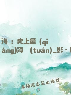 海賊：史上最強(qiáng)海賊團(tuán)