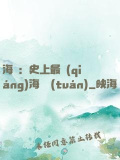 海賊：史上最強(qiáng)海賊團(tuán)