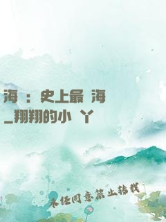 海賊：史上最強海賊團