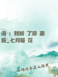 海賊：我加載了游戲面板
