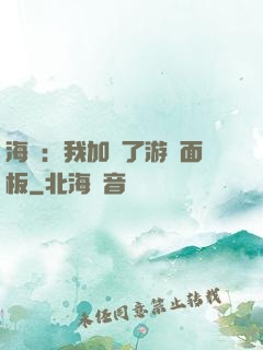 海賊：我加載了游戲面板