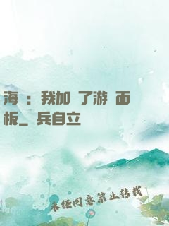海賊：我加載了游戲面板