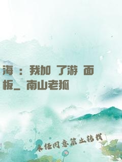 海賊：我加載了游戲面板