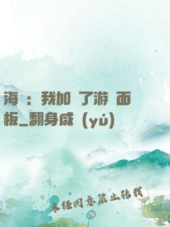 海賊：我加載了游戲面板