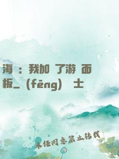 海賊：我加載了游戲面板