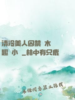 清冷美人囚禁騎木馬筆趣閣小說