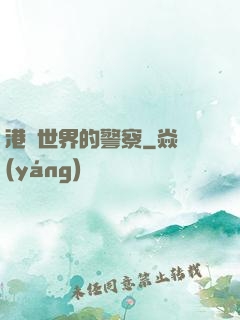 港綜世界的警察