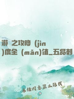 游戲之攻略進(jìn)度全滿(mǎn)值