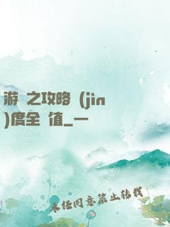 游戲之攻略進(jìn)度全滿值