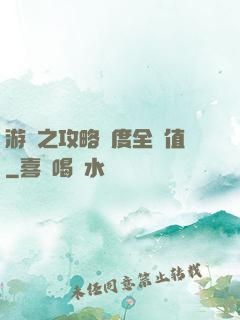 游戲之攻略進度全滿值